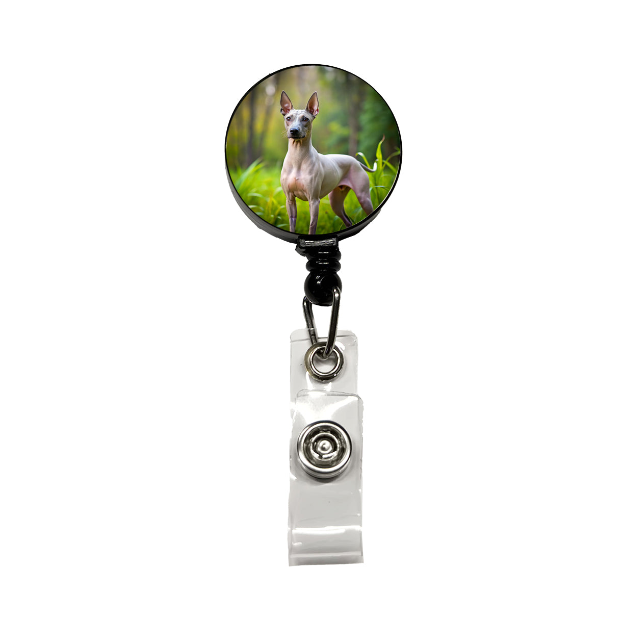 American Hairless Terrier Dog Photo Retractable ID Key Card Name Tag Badge Holder with Clip