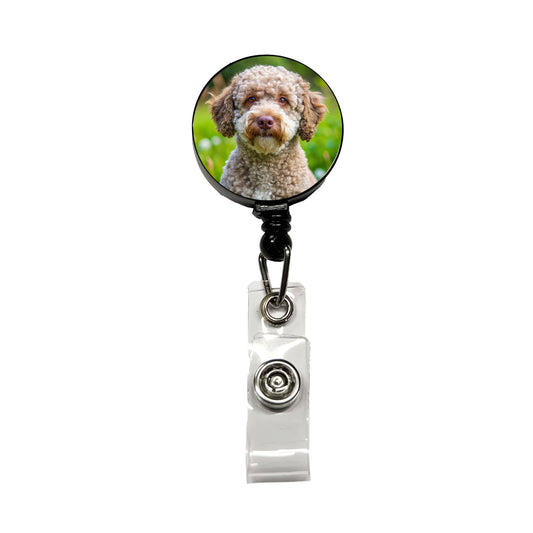 Lagotto Romagnolo Dog Photo Retractable ID Key Card Name Tag Badge Holder with Clip