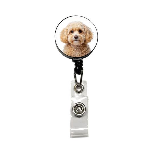 Maltipoo Dog Photo Retractable ID Key Card Name Tag Badge Holder with Clip