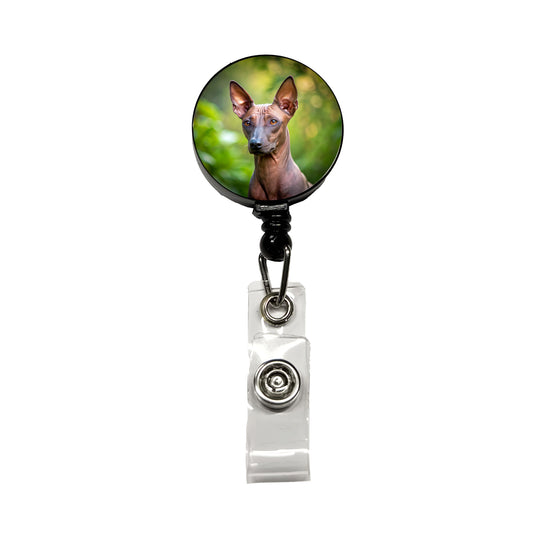 Xoloitzcuintli Xolo Mexican Hairless Dog Photo Retractable ID Key Card Name Tag Badge Holder with Clip