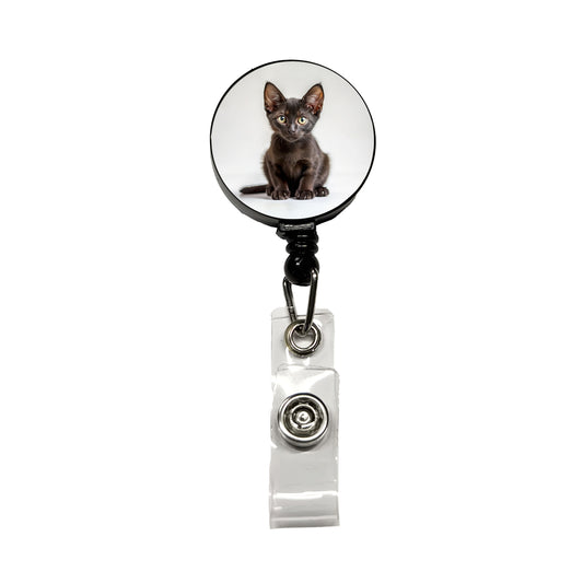 Bombay Black Cat Kitten Photo Retractable ID Key Card Name Tag Badge Holder with Clip