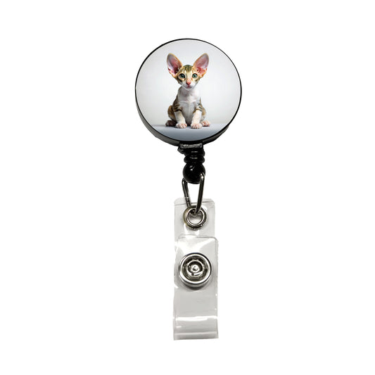 Cornish Rex Cat Kitten Photo Retractable ID Key Card Name Tag Badge Holder with Clip