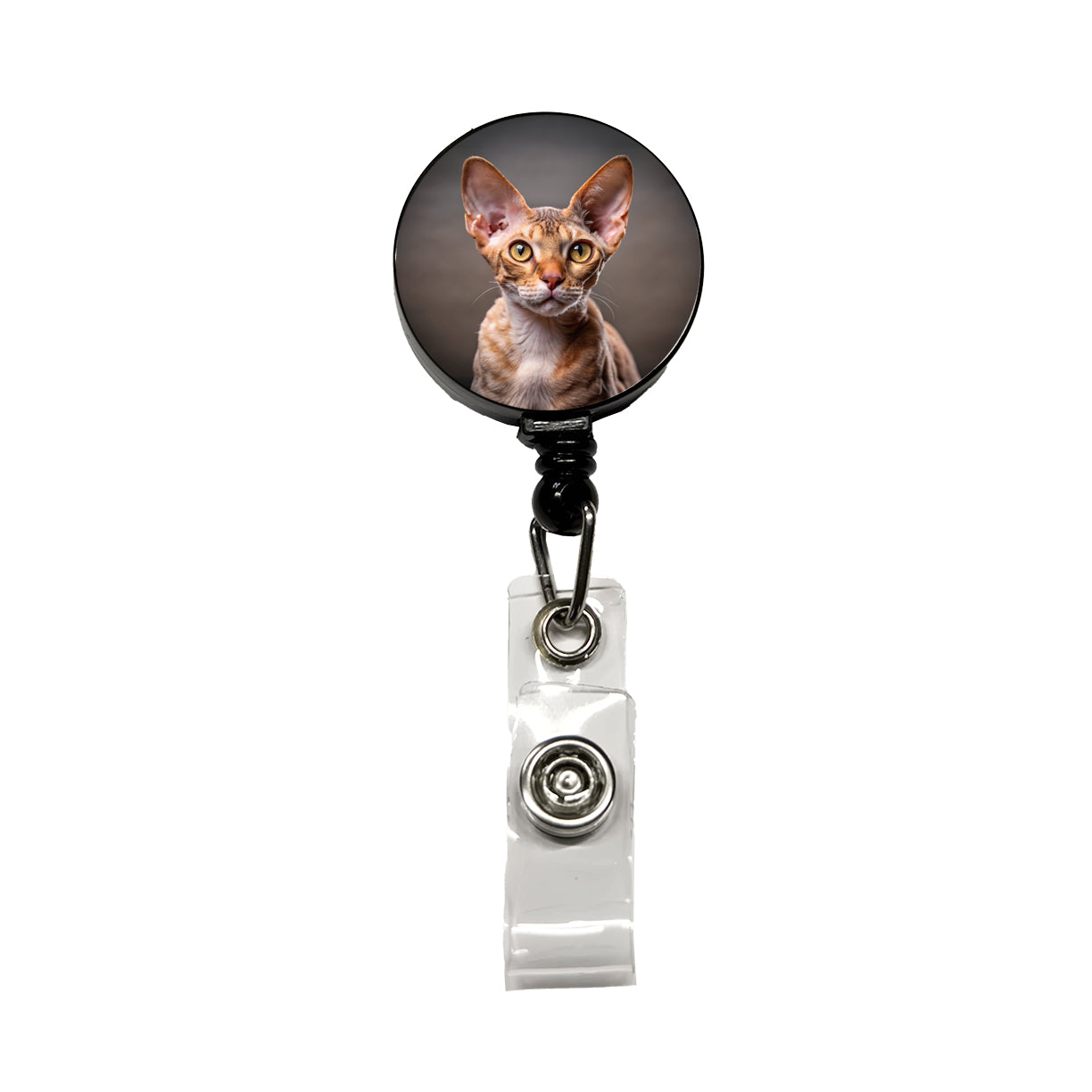 Devon Rex Cat Photo Retractable ID Key Card Name Tag Badge Holder with Clip