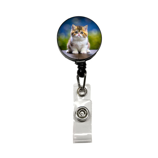 Exotic Shorthair Cat Kitten Photo Retractable ID Key Card Name Tag Badge Holder with Clip