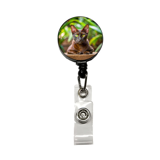 Havana Brown Cat Photo Retractable ID Key Card Name Tag Badge Holder with Clip