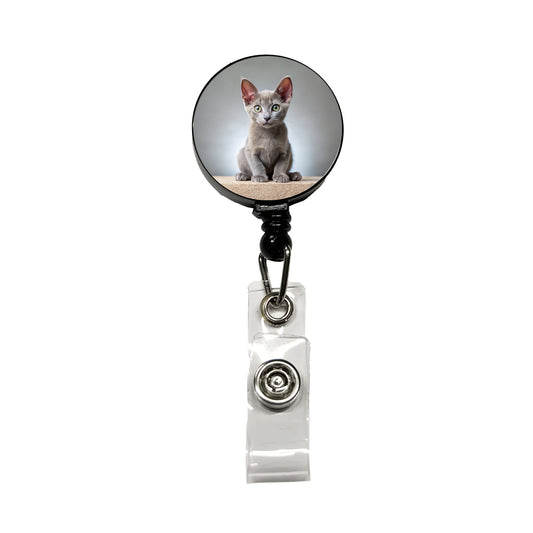 Korat Cat Kitten Photo Retractable ID Key Card Name Tag Badge Holder with Clip
