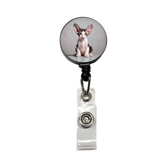 Oriental Shorthair Black White Cat Kitten Photo Retractable ID Key Card Name Tag Badge Holder with Clip