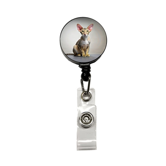 Oriental Shorthair Cat Photo Retractable ID Key Card Name Tag Badge Holder with Clip