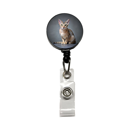 Singapura Cat Photo Retractable ID Key Card Name Tag Badge Holder with Clip