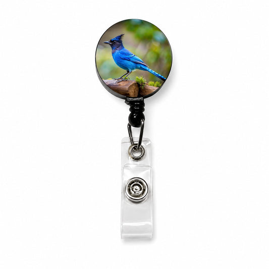 Stellar's Jay Backyard Bird Retractable ID Key Card Name Tag Badge Holder with Clip