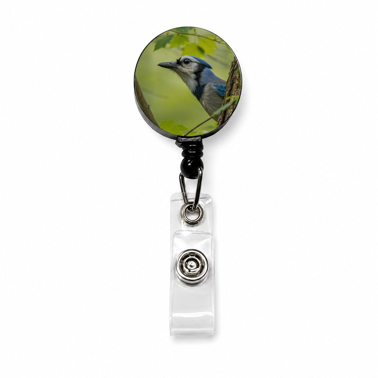 Blue Jay Bird Wildlife Retractable ID Key Card Name Tag Badge Holder with Clip