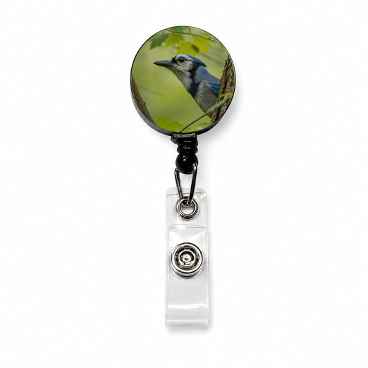 Blue Jay Bird Wildlife Retractable ID Key Card Name Tag Badge Holder with Clip
