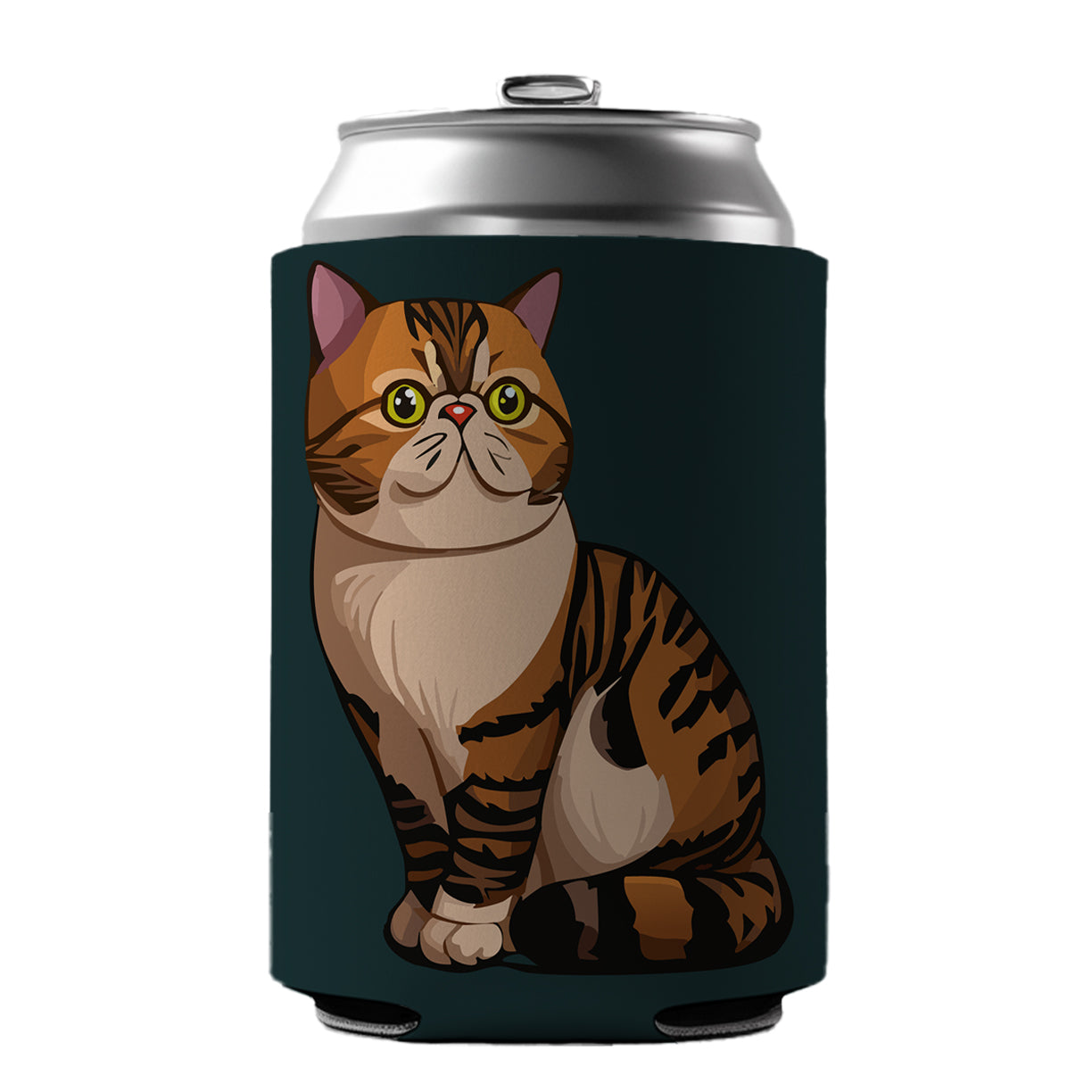 Exotic Shorthair Cat Sitting Can Cooler Beer Soda Drink Insulated Holder Sleeve Hugger