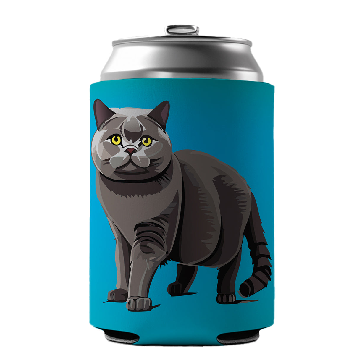 Gray British Shorthair Cat Can Cooler Beer Soda Drink Insulated Holder Sleeve Hugger