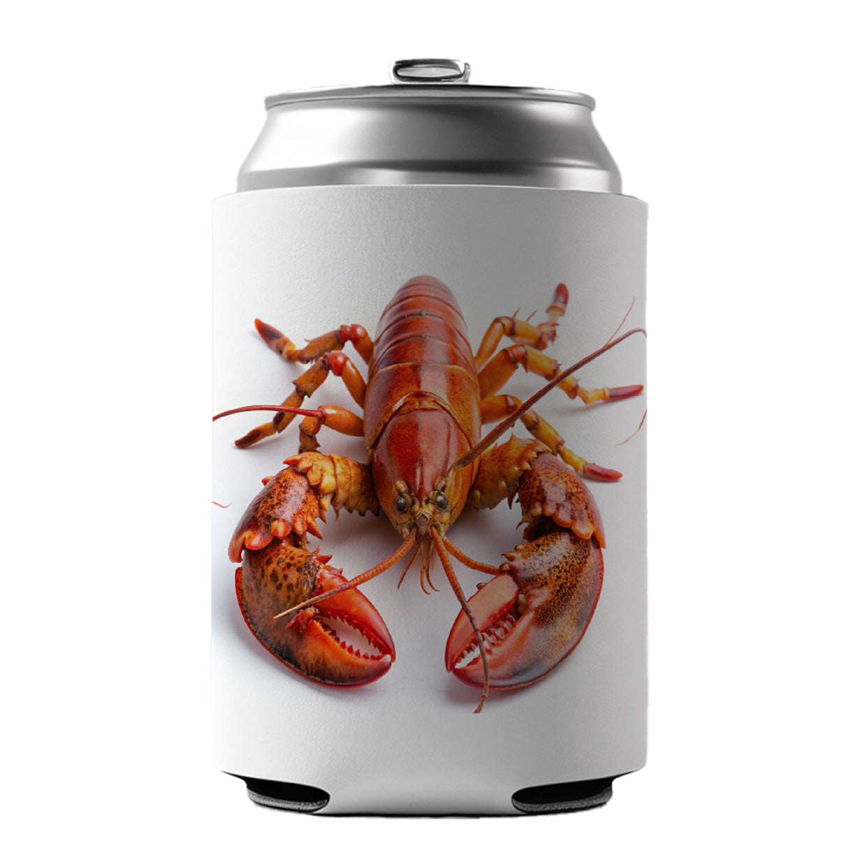 New England Lobster On White Background Can Cooler Beer Soda Drink Insulated Holder Sleeve Hugger