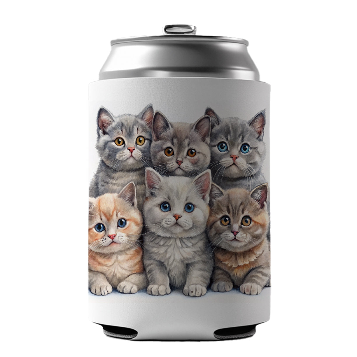 Sweet British Shorthair Cats Can Cooler Beer Soda Drink Insulated Holder Sleeve Hugger