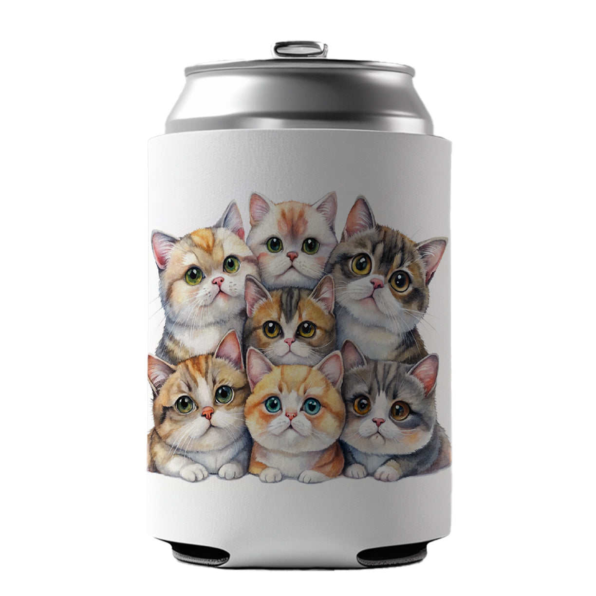 Sweet Exotic Shorthair Cats Can Cooler Beer Soda Drink Insulated Holder Sleeve Hugger