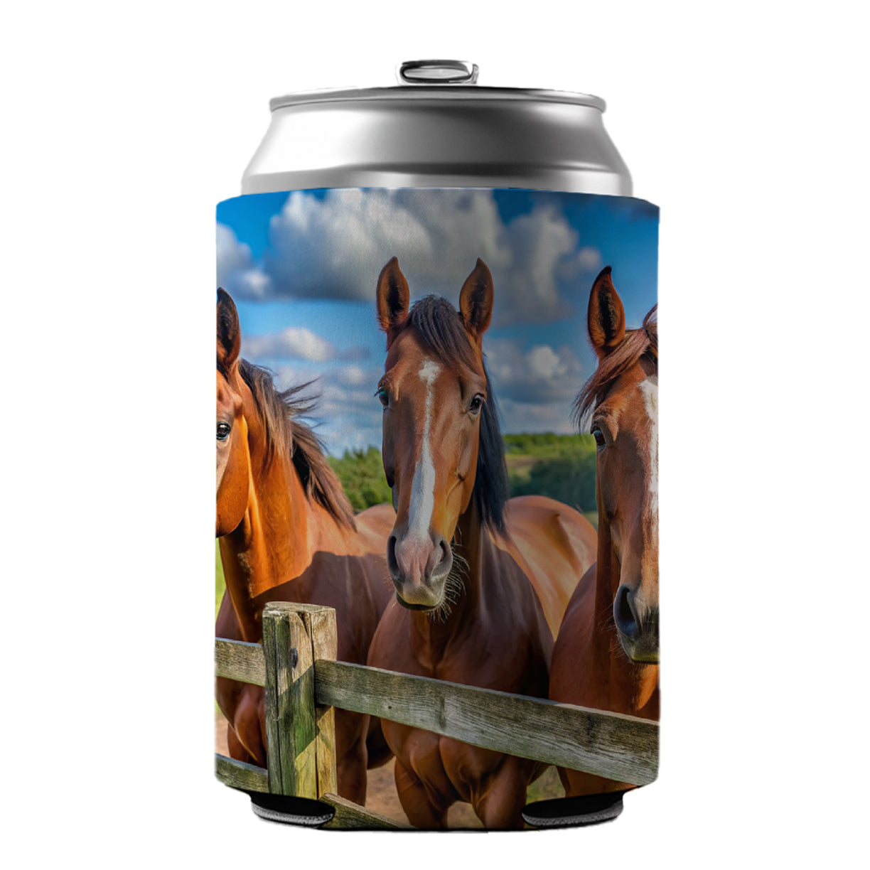 Horses Standing At The Fence Can Cooler Beer Soda Drink Insulated Holder Sleeve Hugger