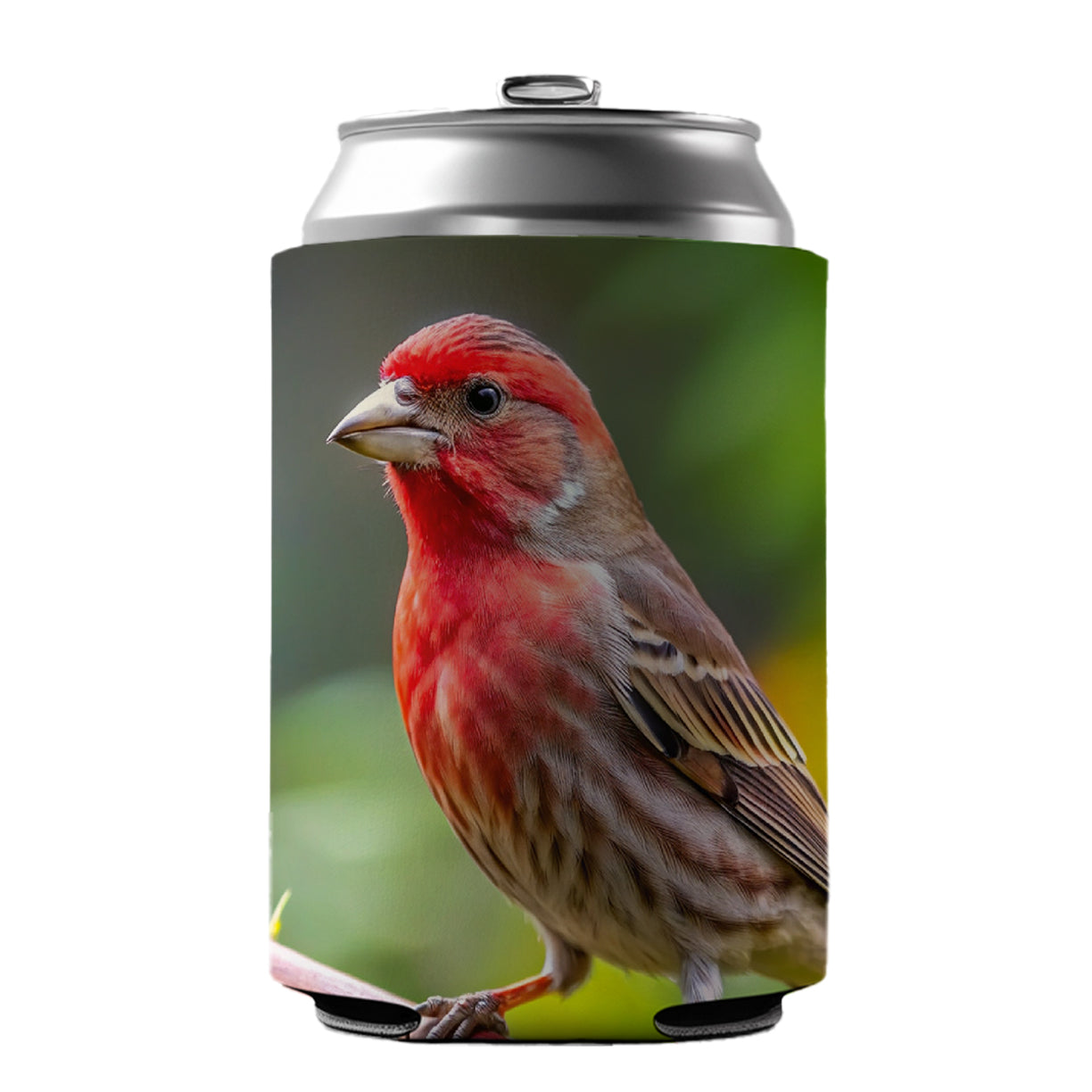 House Finch Backyard Bird Can Cooler Beer Soda Drink Insulated Holder Sleeve Hugger