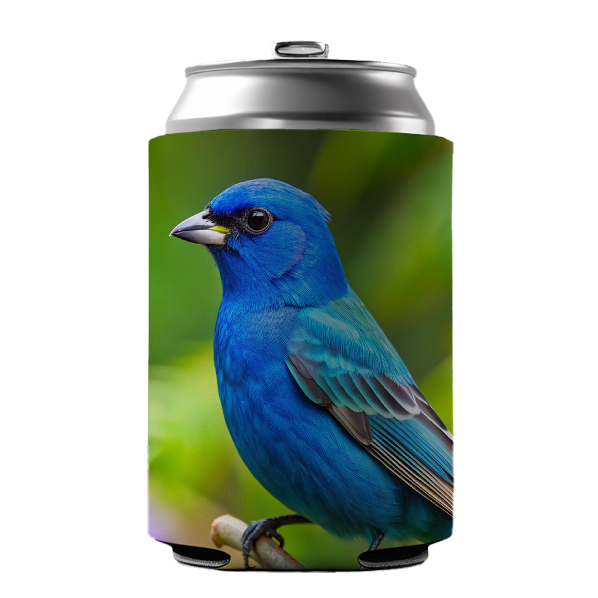 Indigo Bunting Backyard Bird Can Cooler Beer Soda Drink Insulated Holder Sleeve Hugger