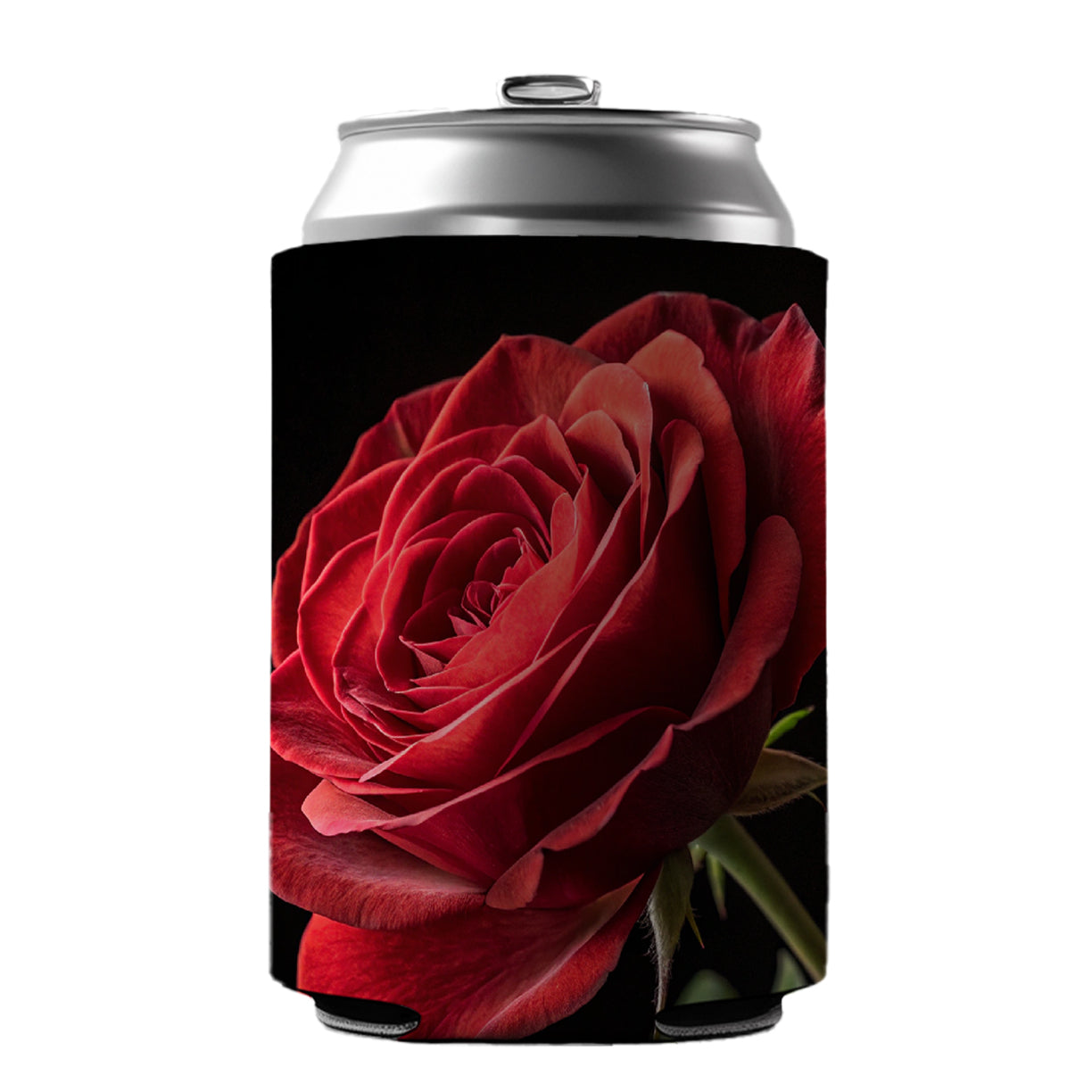 Red Rose On Black Background Can Cooler Beer Soda Drink Insulated Holder Sleeve Hugger
