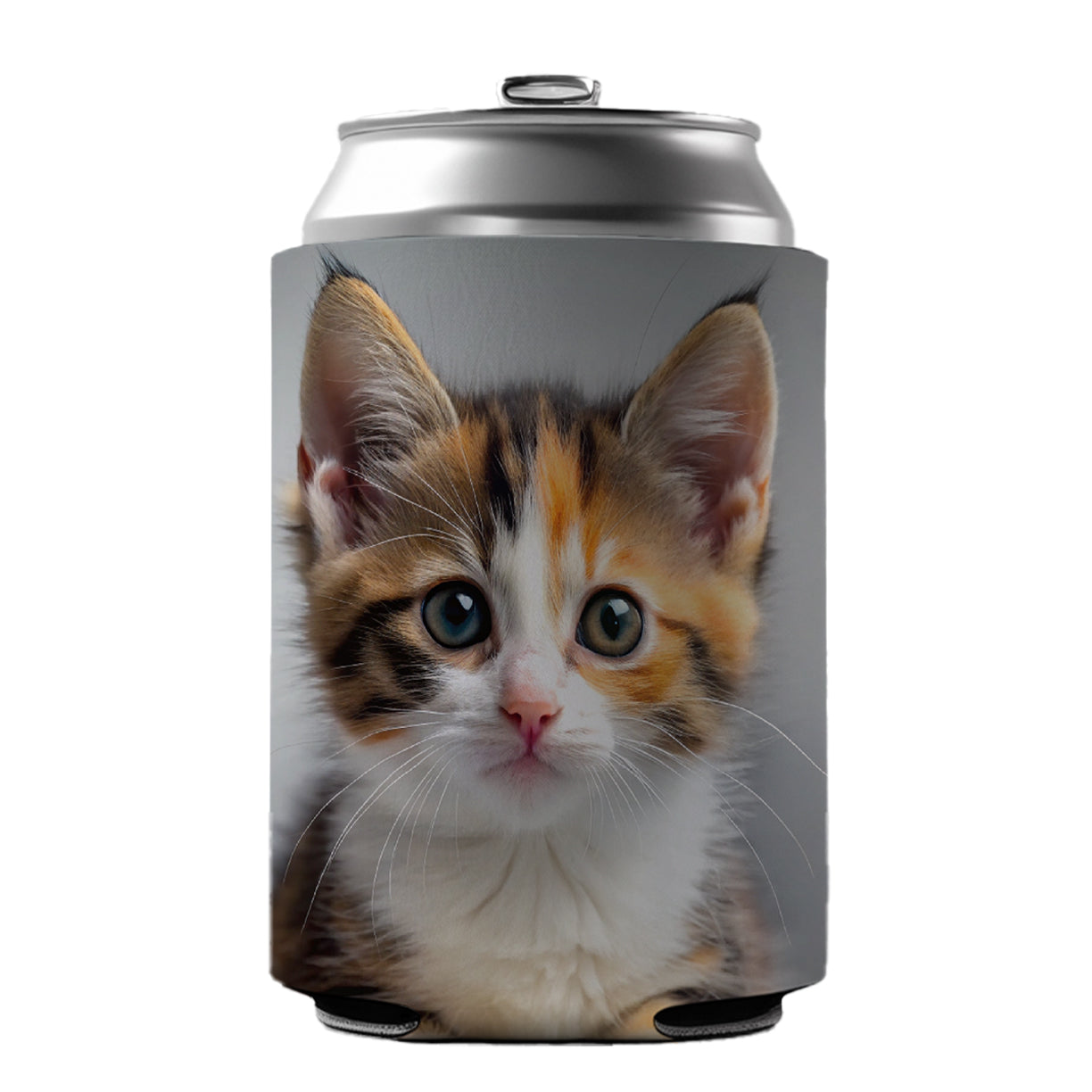 Calico Cat Kitten Photo Can Cooler Beer Soda Drink Insulated Holder Sleeve Hugger