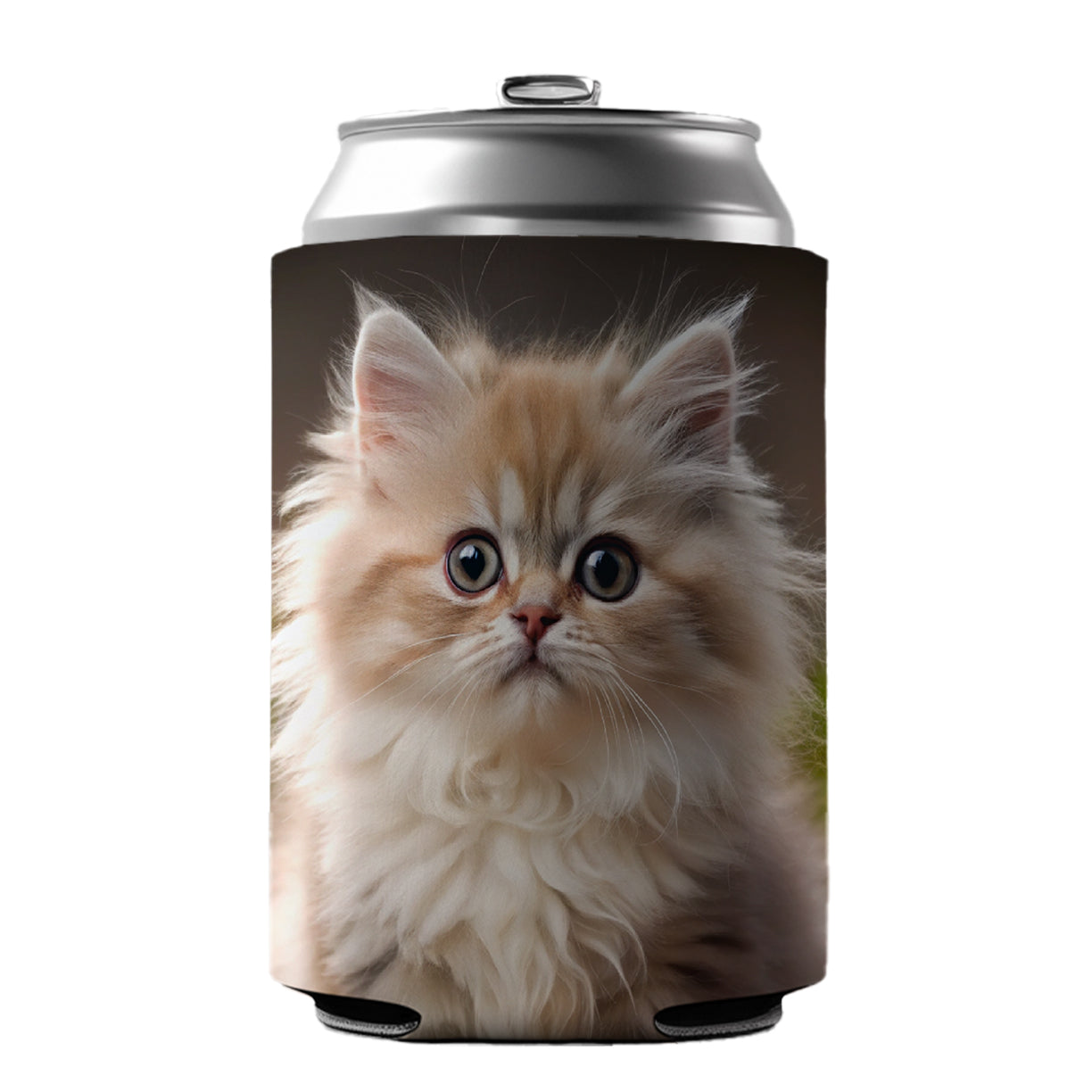 Persian Cat Kitten Photo Can Cooler Beer Soda Drink Insulated Holder Sleeve Hugger
