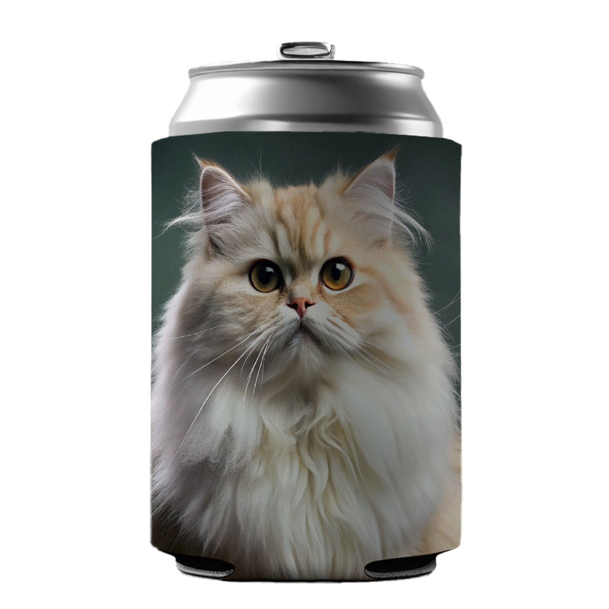 Persian Cat Photo Can Cooler Beer Soda Drink Insulated Holder Sleeve Hugger