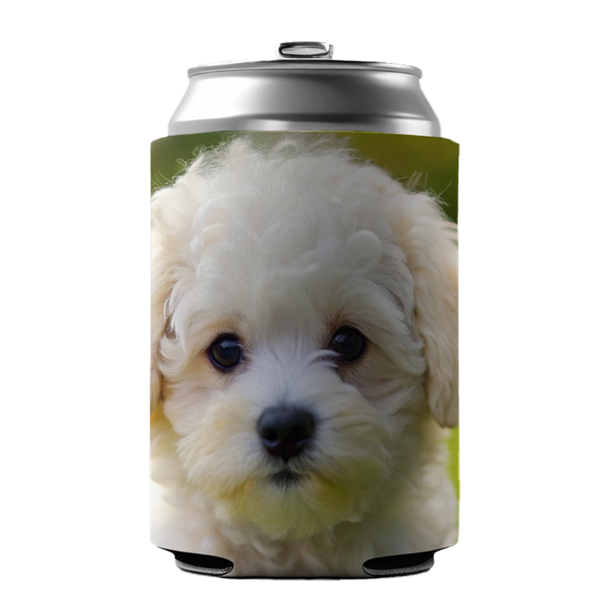 Bichon Frise Dog Puppy Photo Can Cooler Beer Soda Drink Insulated Holder Sleeve Hugger