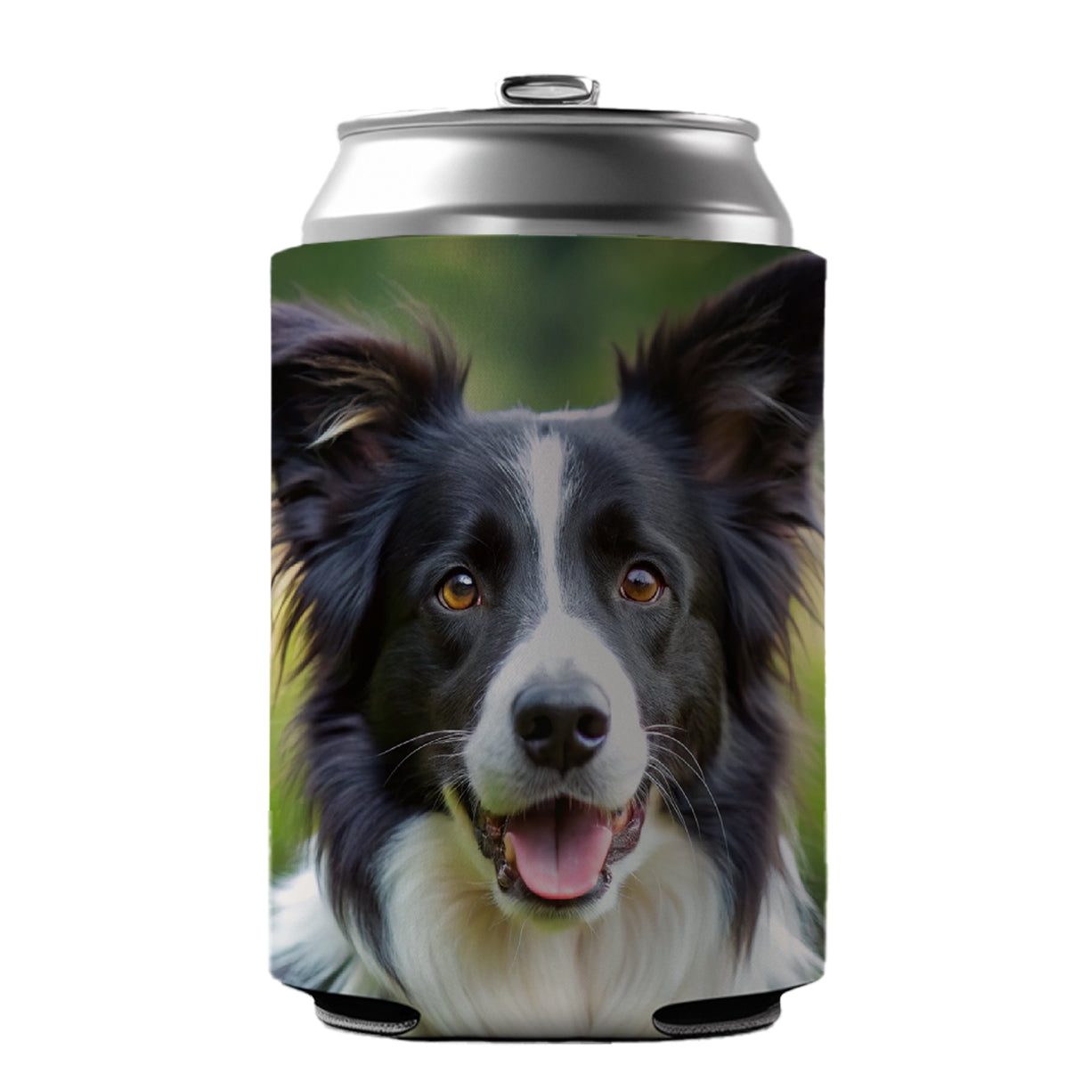 Border Collie Dog Photo Can Cooler Beer Soda Drink Insulated Holder Sleeve Hugger
