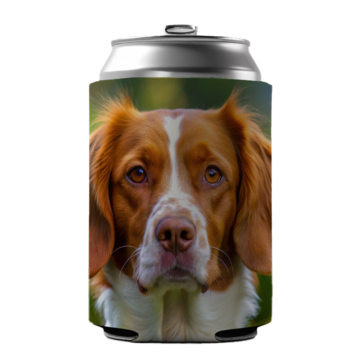 Brittany Spaniel Dog Photo Can Cooler Beer Soda Drink Insulated Holder Sleeve Hugger