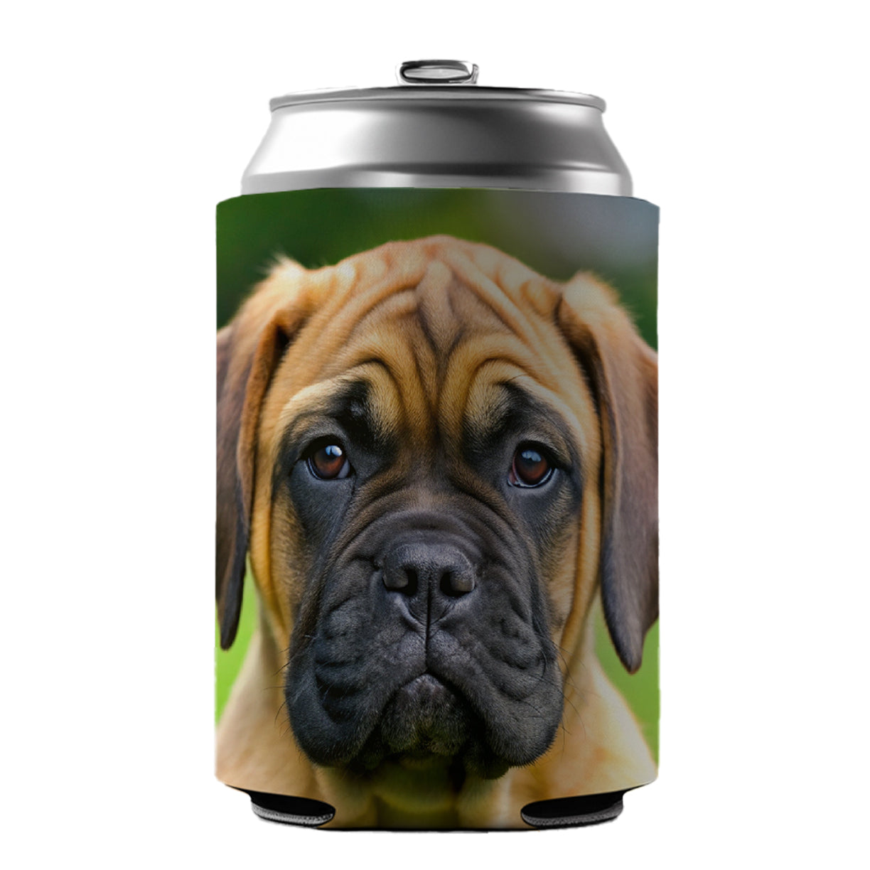 Bullmastiff Dog Puppy Photo Can Cooler Beer Soda Drink Insulated Holder Sleeve Hugger