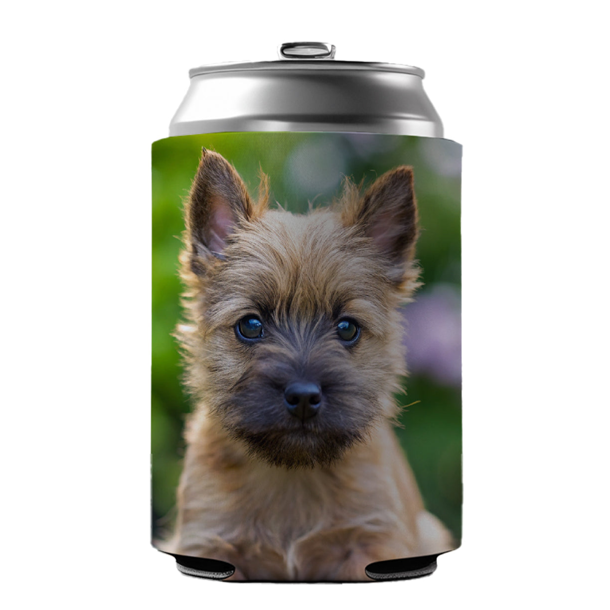 Cairn Terrier Dog Puppy Photo Can Cooler Beer Soda Drink Insulated Holder Sleeve Hugger