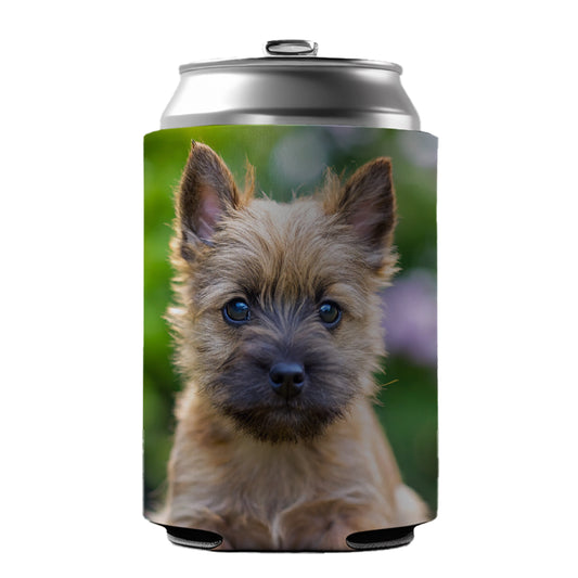 Cairn Terrier Dog Puppy Photo Can Cooler Beer Soda Drink Insulated Holder Sleeve Hugger