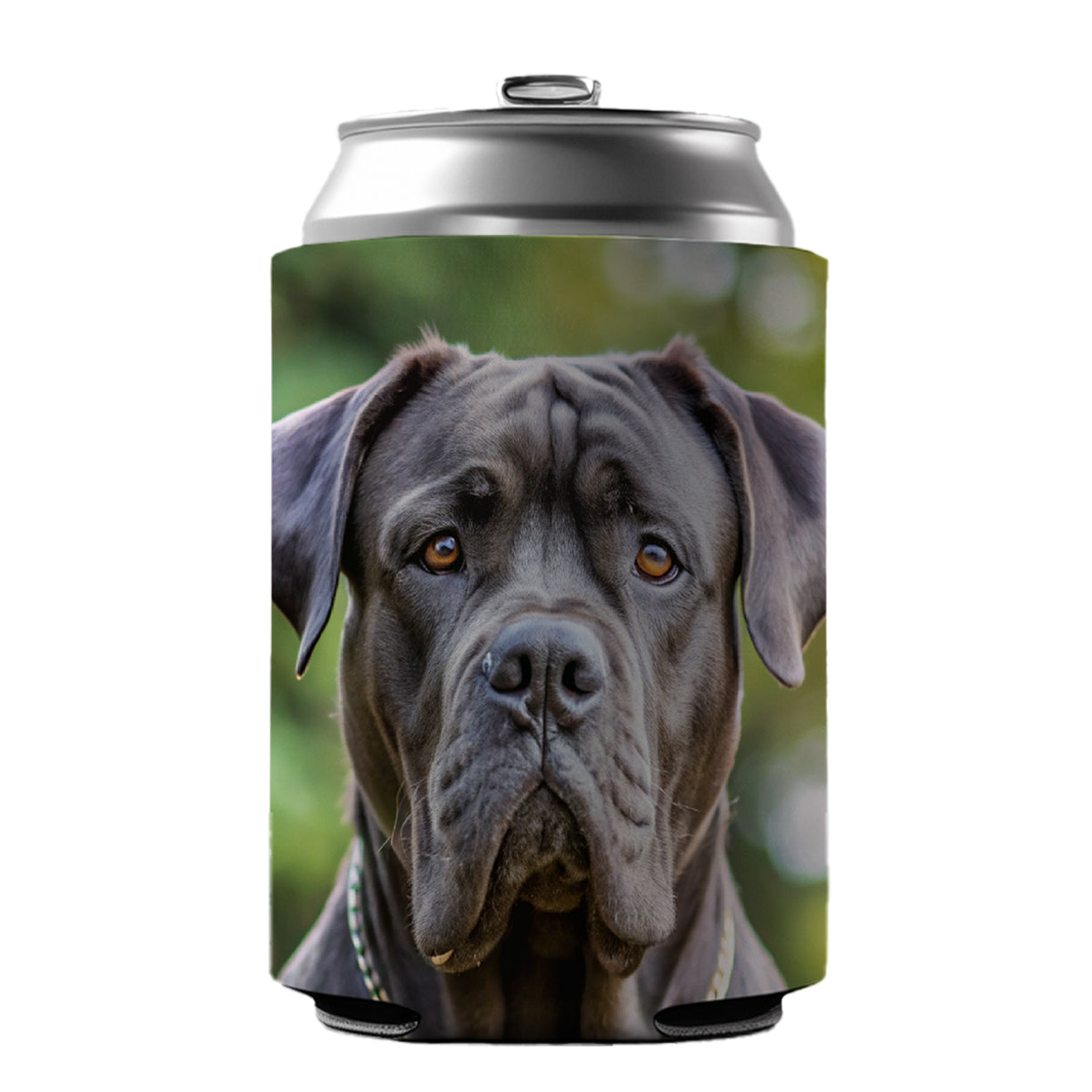 Cane Corso Dog Photo Can Cooler Beer Soda Drink Insulated Holder Sleeve Hugger