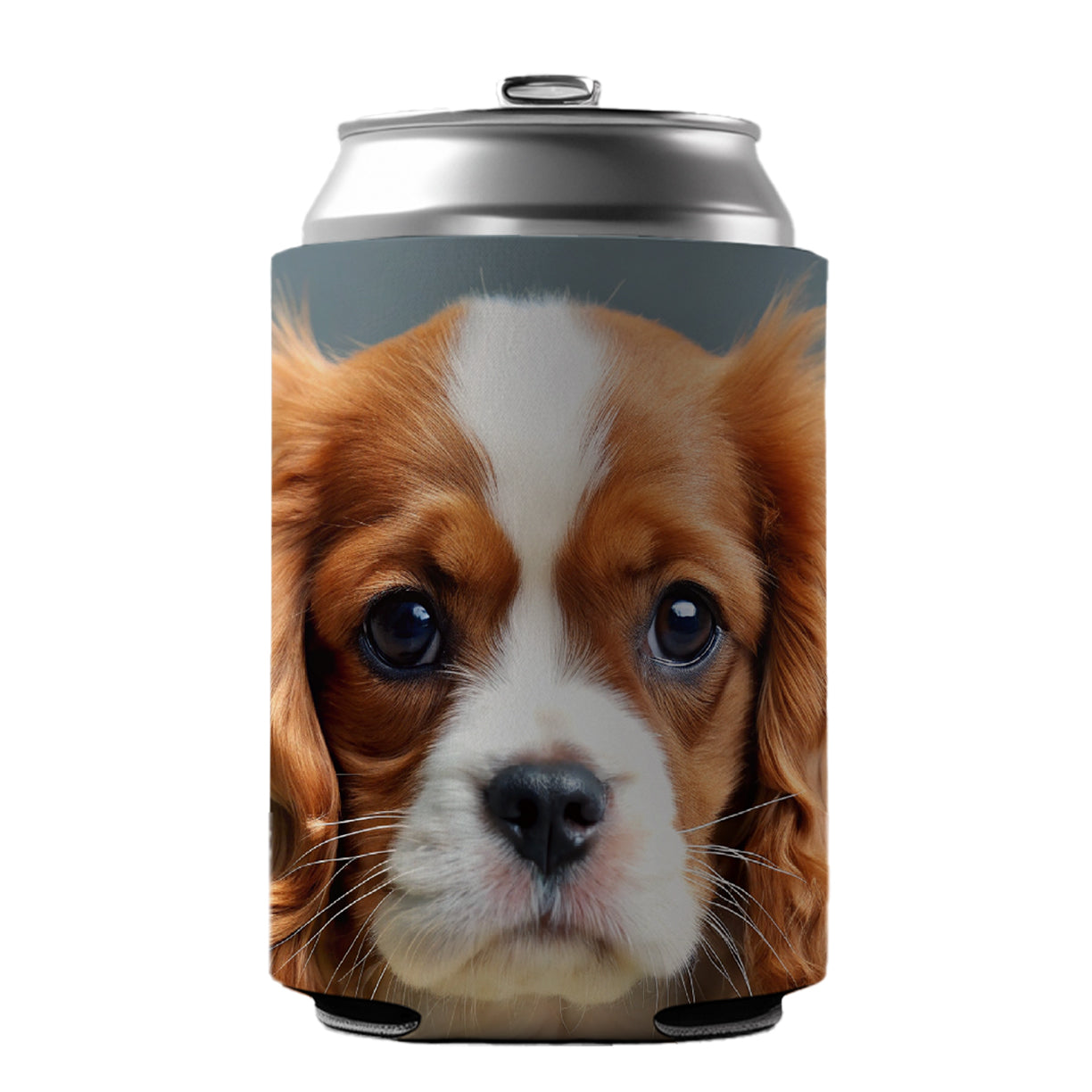 Cavalier King Charles Spaniel Dog Puppy Photo Can Cooler Beer Soda Drink Insulated Holder Sleeve Hugger