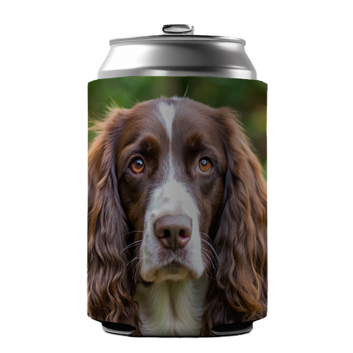English Springer Spaniel Dog Photo Can Cooler Beer Soda Drink Insulated Holder Sleeve Hugger