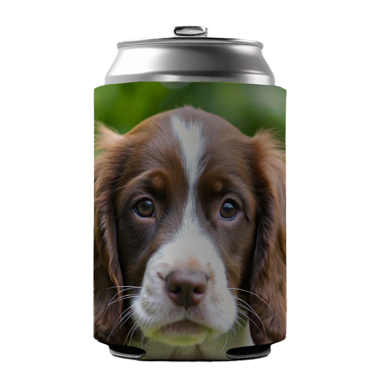 English Springer Spaniel Dog Puppy Photo Can Cooler Beer Soda Drink Insulated Holder Sleeve Hugger
