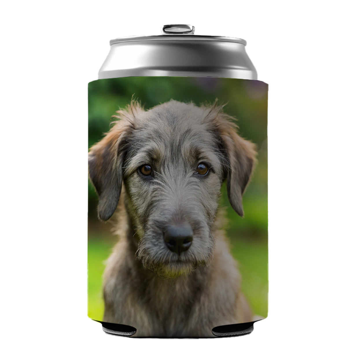 Irish Wolfhound Dog Puppy Photo Can Cooler Beer Soda Drink Insulated Holder Sleeve Hugger