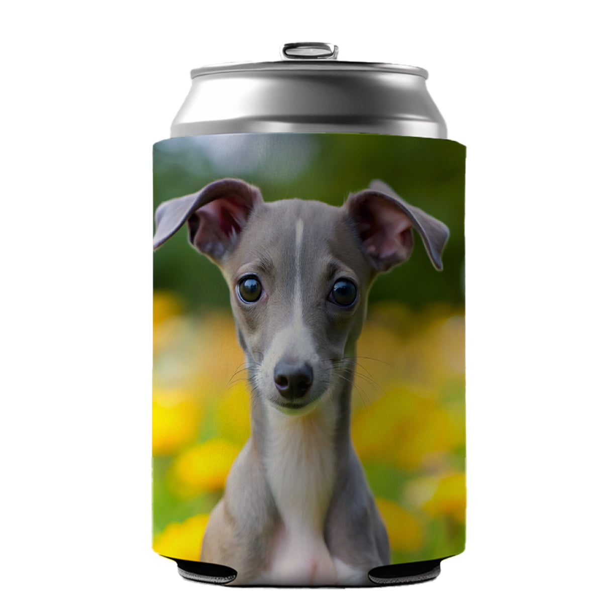 Italian Greyhound Dog Puppy Photo Can Cooler Beer Soda Drink Insulated Holder Sleeve Hugger