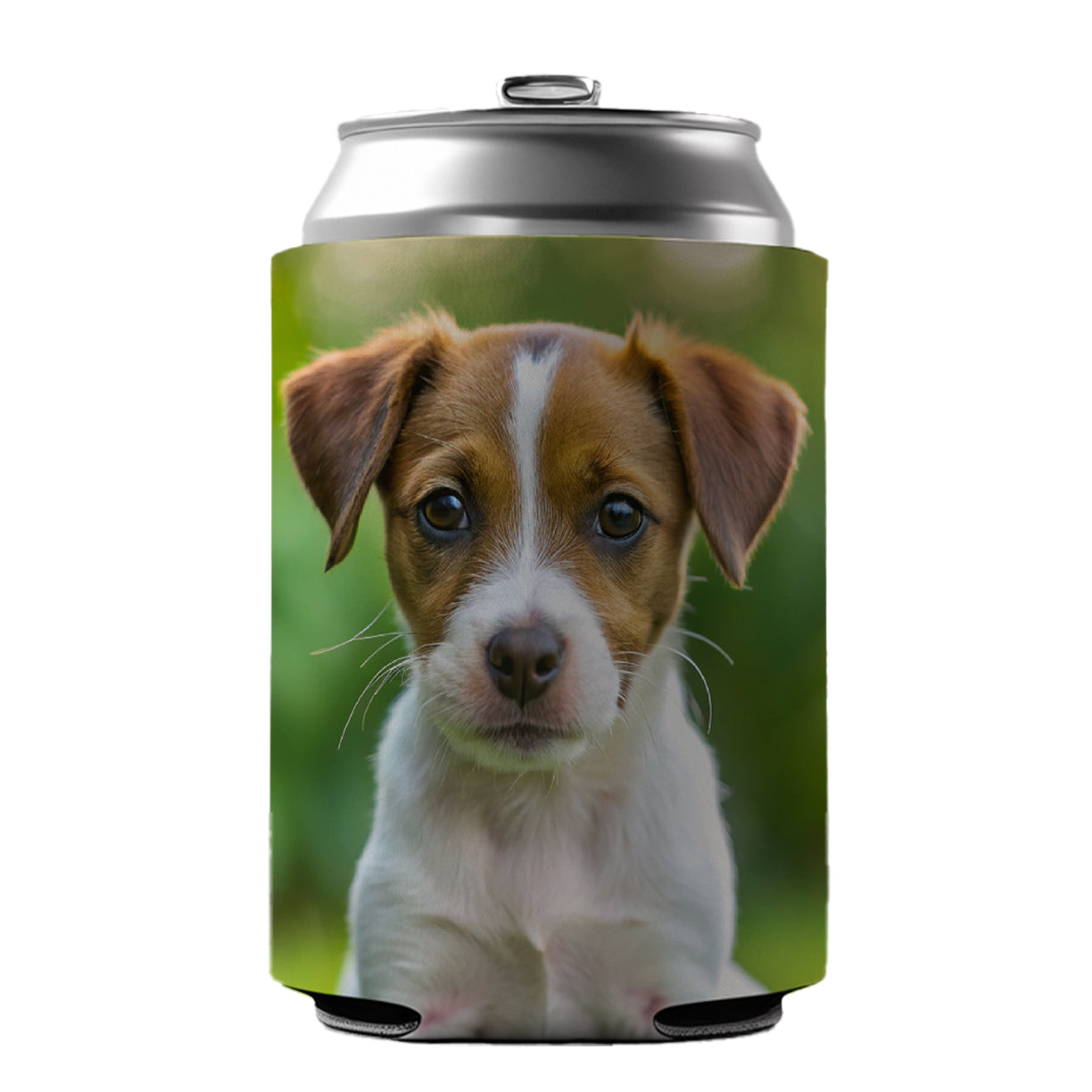 Jack Russell Terrier Dog Puppy Photo Can Cooler Beer Soda Drink Insulated Holder Sleeve Hugger