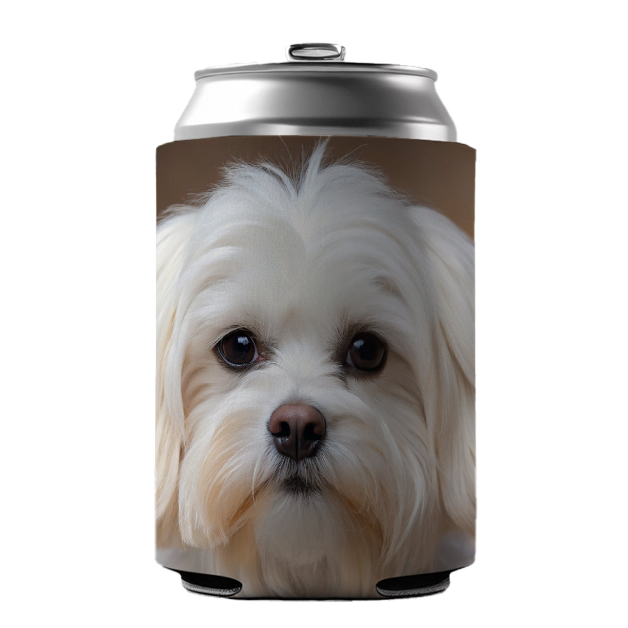 Maltese Dog Photo Can Cooler Beer Soda Drink Insulated Holder Sleeve Hugger