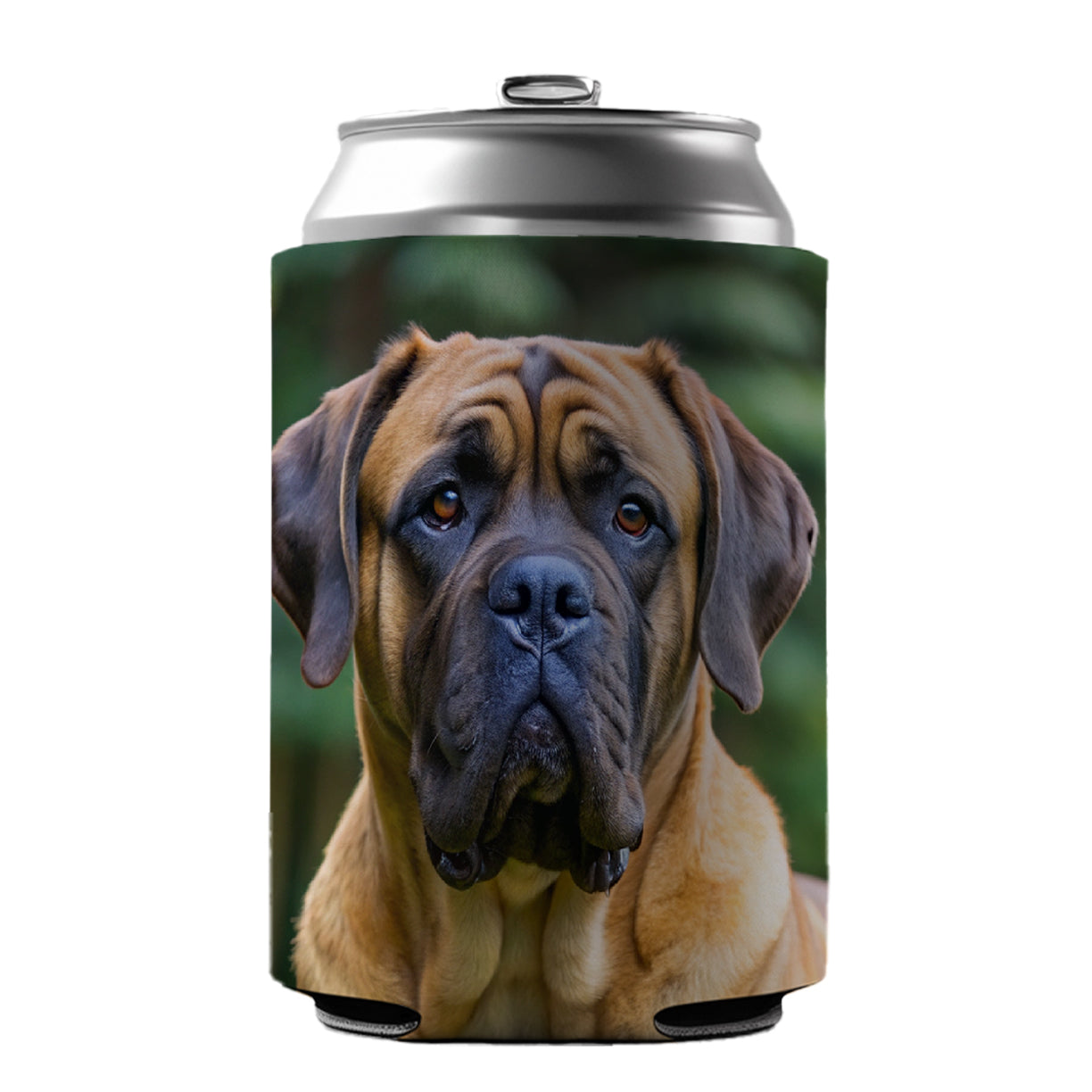 Mastiff Dog Photo Can Cooler Beer Soda Drink Insulated Holder Sleeve Hugger