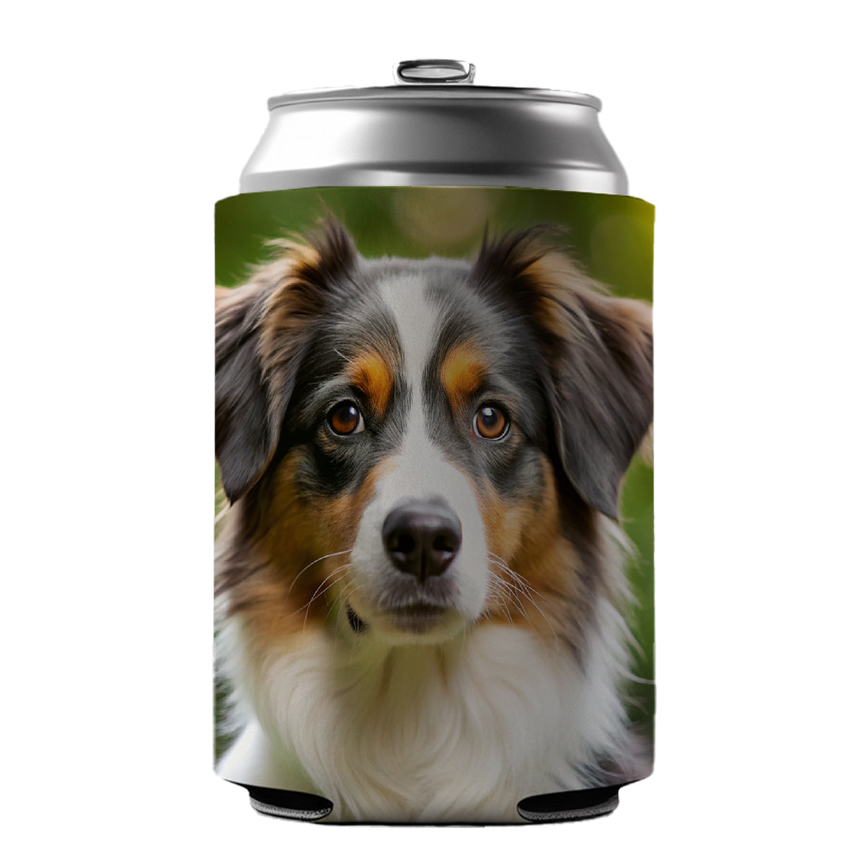 Miniature American Shepherd Dog Photo Can Cooler Beer Soda Drink Insulated Holder Sleeve Hugger