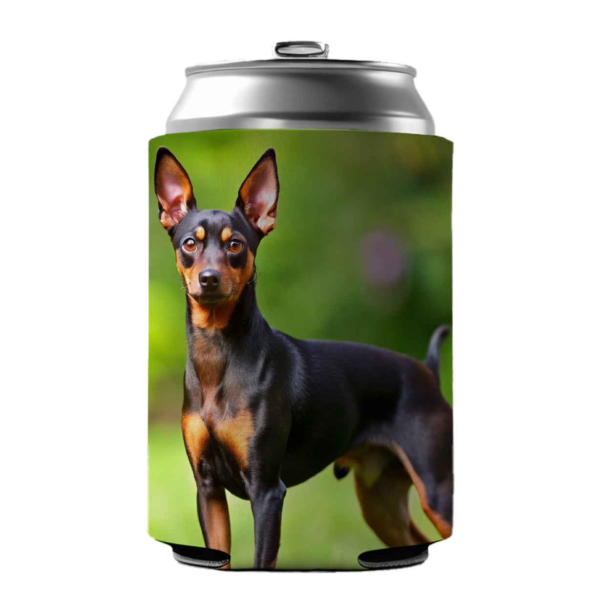 Miniature Pinscher Dog Photo Can Cooler Beer Soda Drink Insulated Holder Sleeve Hugger