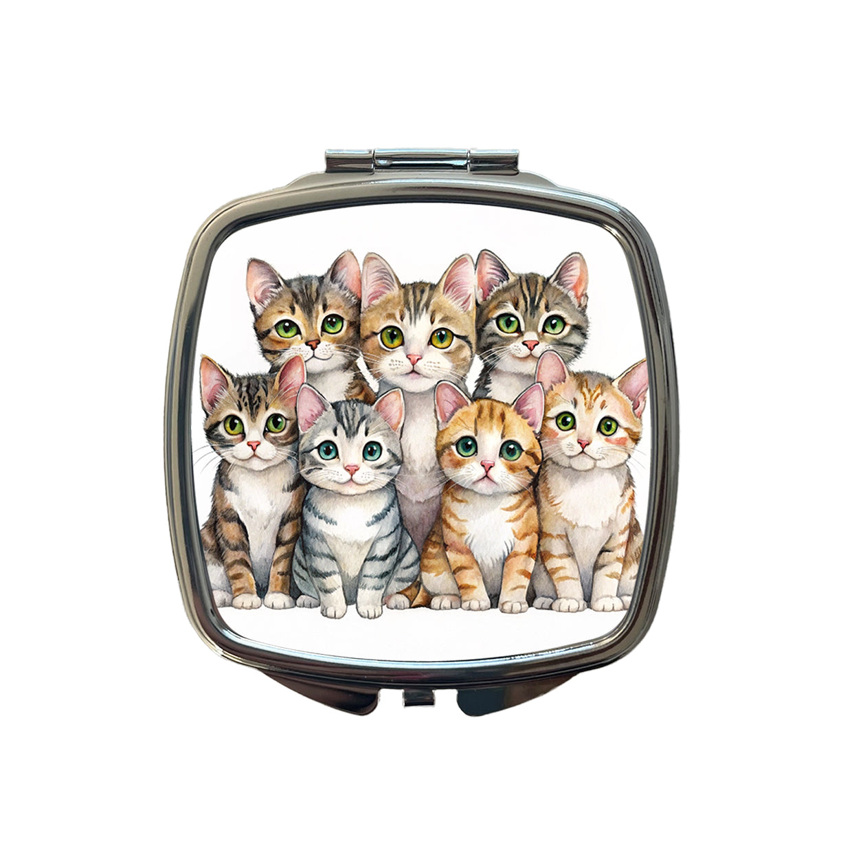 Sweet American Wirehair Cats Small Travel Purse Handbag Pocket Makeup Compact Mirror