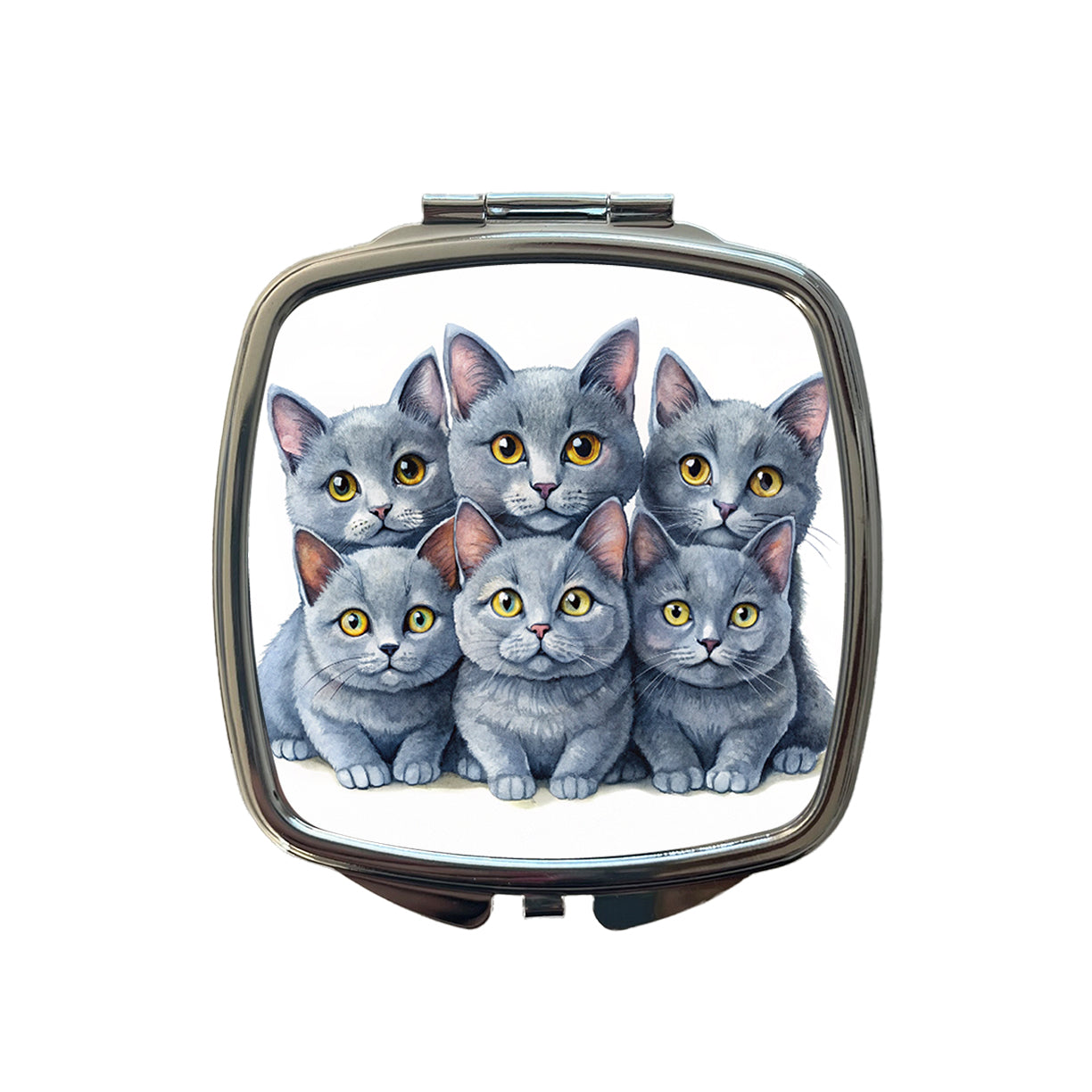 Sweet Chartreux Cats Small Travel Purse Handbag Pocket Makeup Compact Mirror