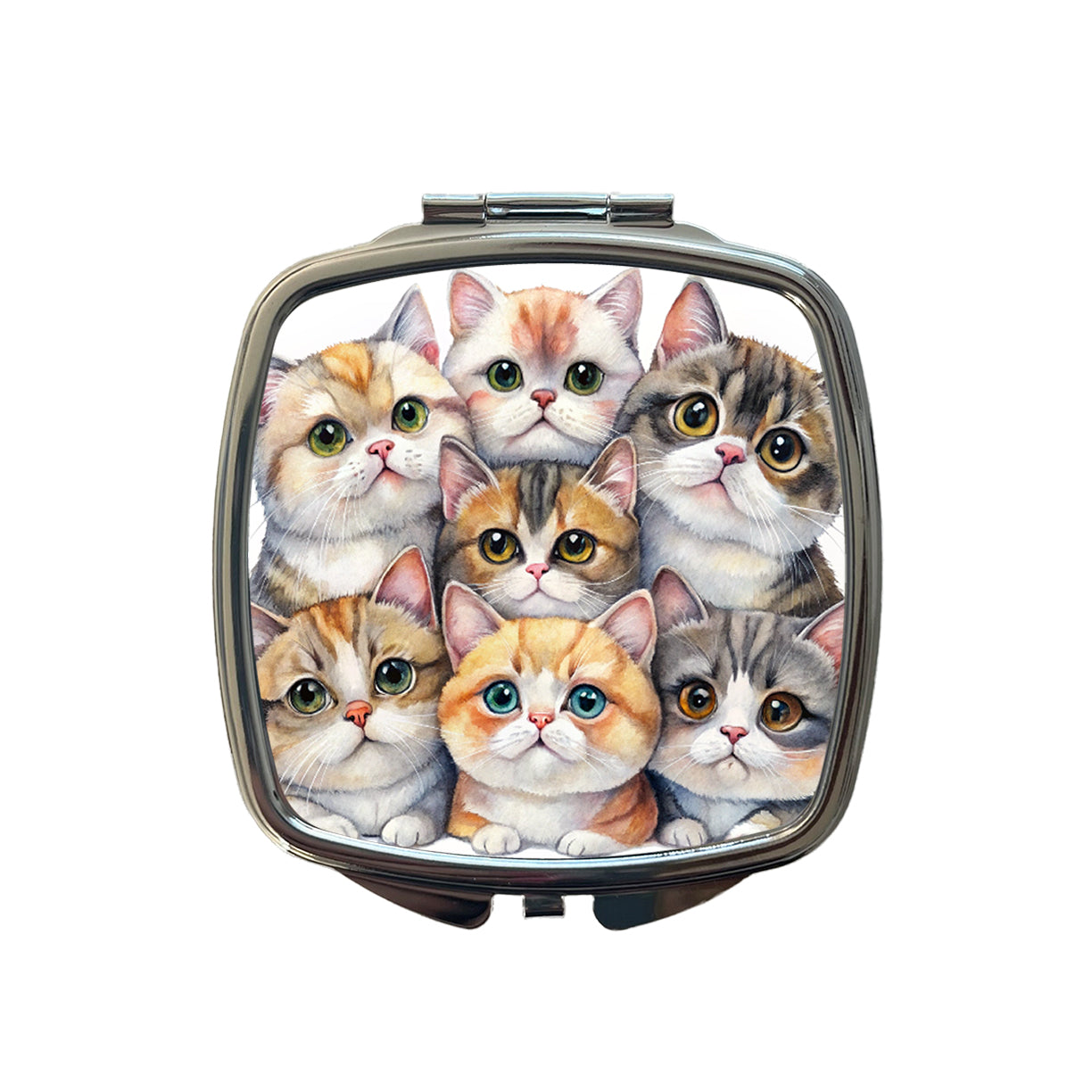 Sweet Exotic Shorthair Cats Small Travel Purse Handbag Pocket Makeup Compact Mirror
