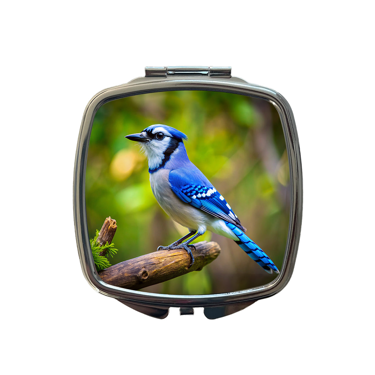Blue Jay Backyard Bird Small Travel Purse Handbag Pocket Makeup Compact Mirror