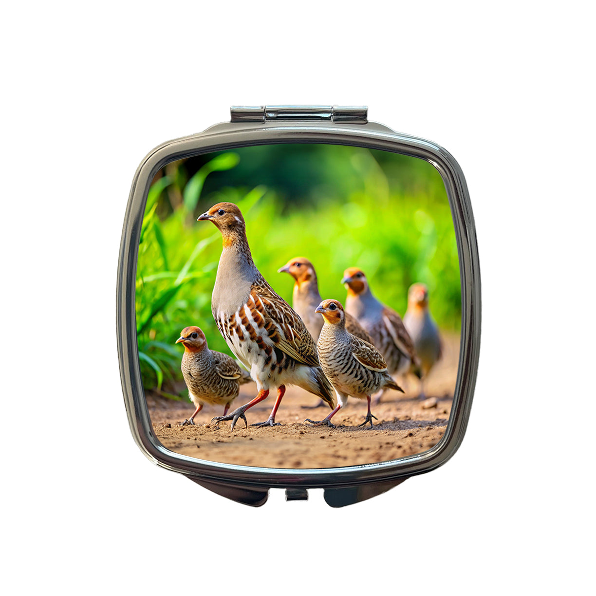 Family Of Partridge Birds Small Travel Purse Handbag Pocket Makeup Compact Mirror